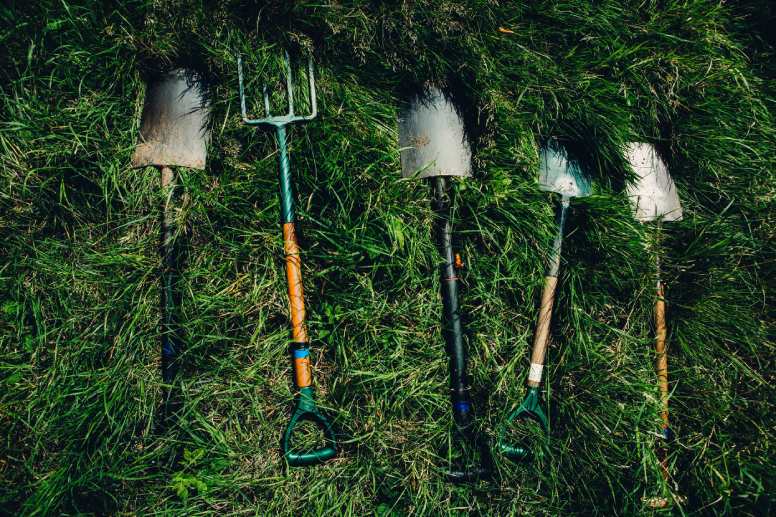 Japanese Garden Tools For Novice Gardeners