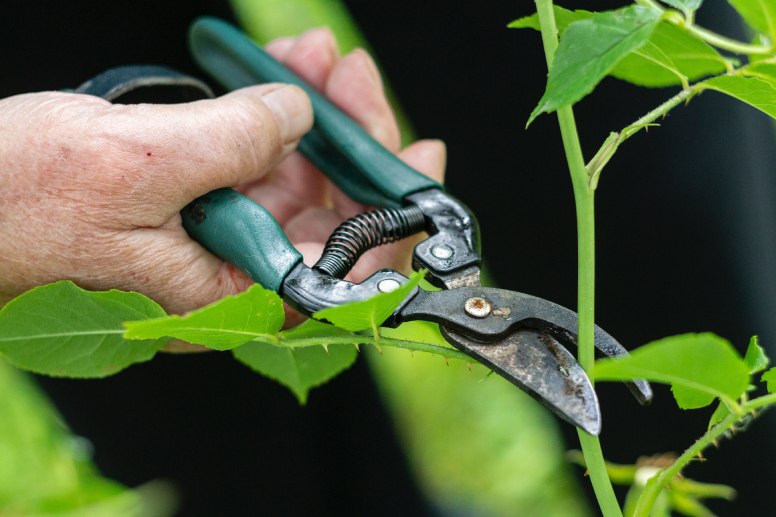 How To Sharpen Japanese Garden Tools