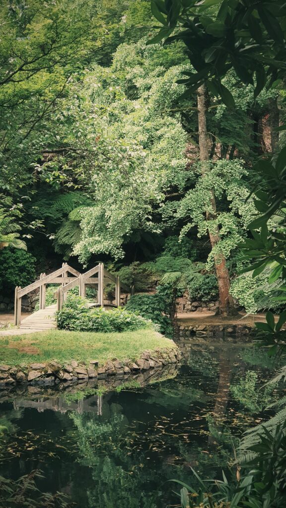 A Garden Tour: Must-Visit Japanese Gardens Globally