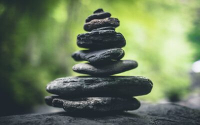 Back To Roots: Traditional Tools And Techniques In Japanese Gardening