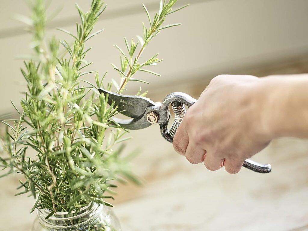 Barebones | Japanese Pruner - Old World Japanese Design, Durable Steel Construction