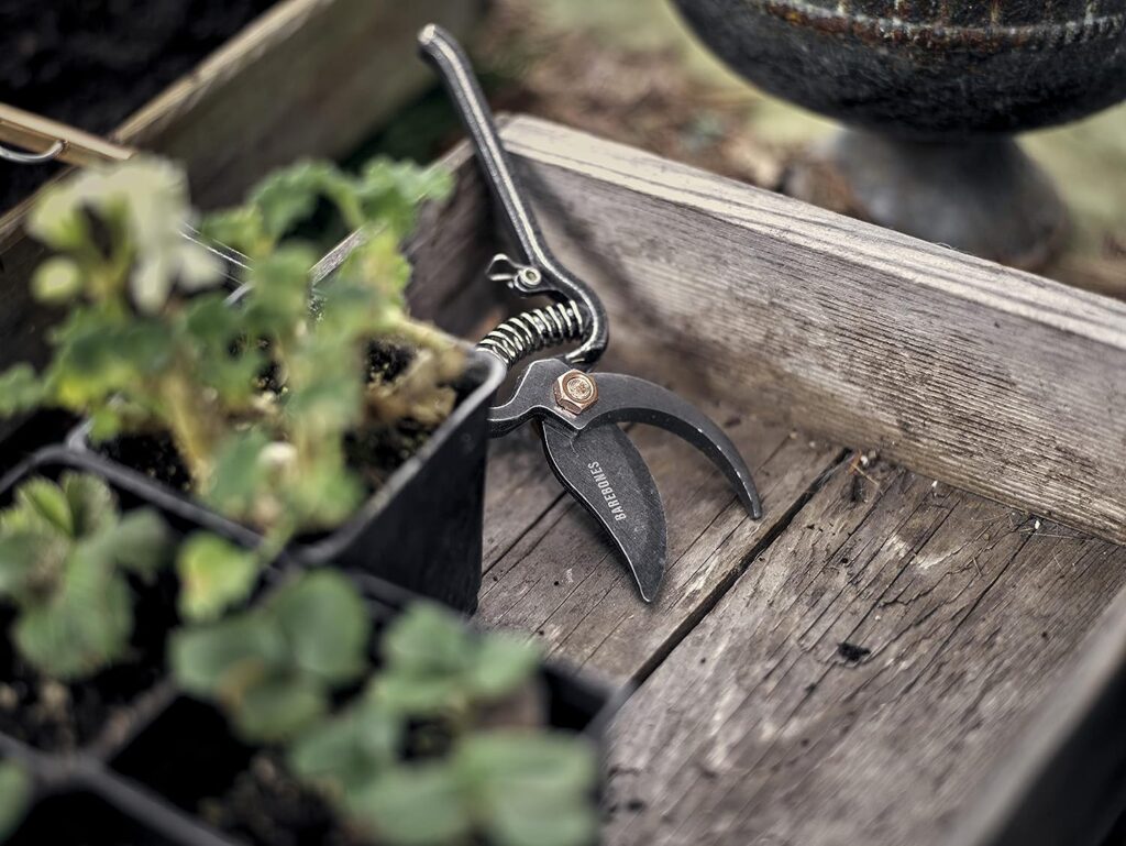 Barebones | Japanese Pruner - Old World Japanese Design, Durable Steel Construction