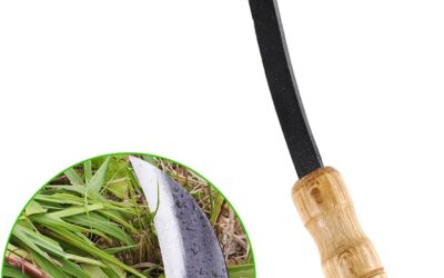 Japanese Weeding Sickle Hoe Review