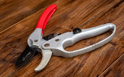 Choosing The Right Pruners For Your Japanese Garden: A Buyer’s Guide