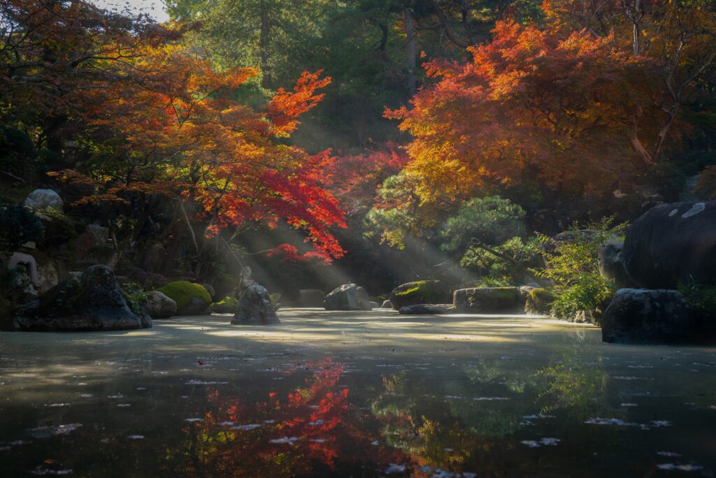 Small Spaces: Designing A Japanese Garden In Compact Areas