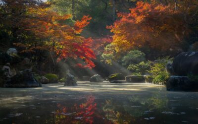 Small Spaces: Designing A Japanese Garden In Compact Areas
