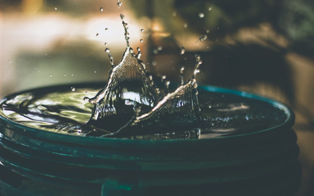 The Ebb And Flow: Understanding The Role Of Water In Japanese Gardens