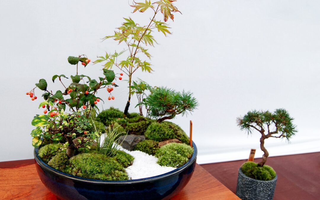 The Timeless Journey: History And Philosophy Of Japanese Gardening