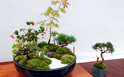 The Timeless Journey: History And Philosophy Of Japanese Gardening