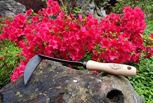 Tierra Garden DeWit Right Hand Japanese Hand Hoe, Handheld Gardening Tool to Remove Grass, Weeds, and More