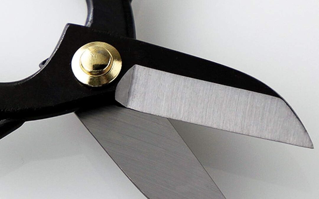 Wazakura Ikebana Tool Kit Review