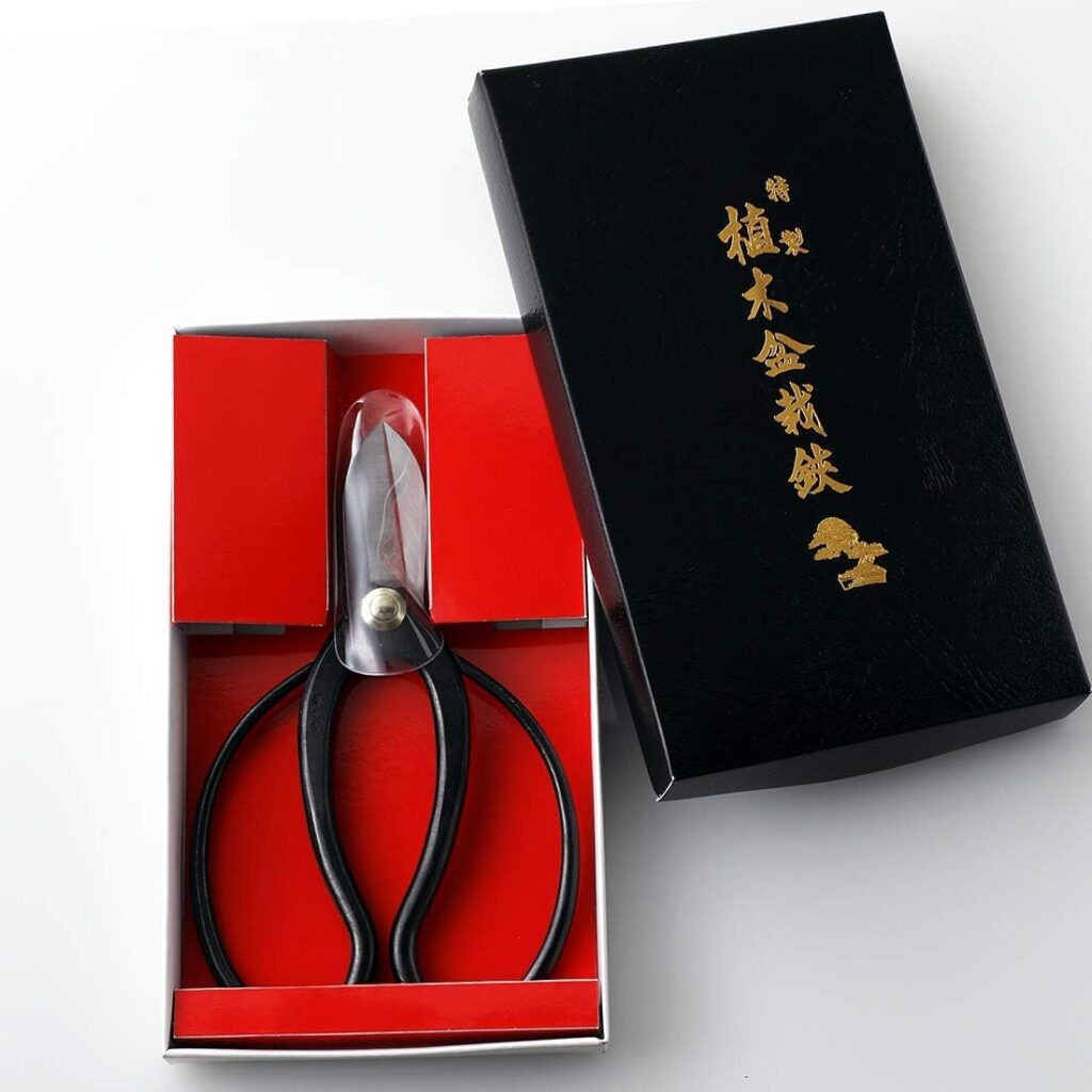 Wazakura Made in Japan Ikebana Tool Kit - Koryu Scissors + Brass Kenzan Flower Holder, Japanese Floral Arrangement Set, Florist Shears and Pin Frog Gift Box Set - Koryu+Brass Kenzan 3-1/4 (80mm)