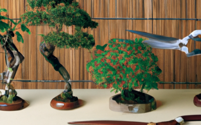 A Buying Guide To Selecting The Perfect Bonsai Scissors For Pruning