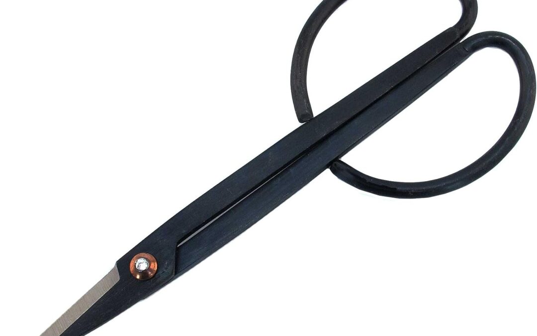 BambooMN 7.2″ Black Bonsai Trimming Shear Review