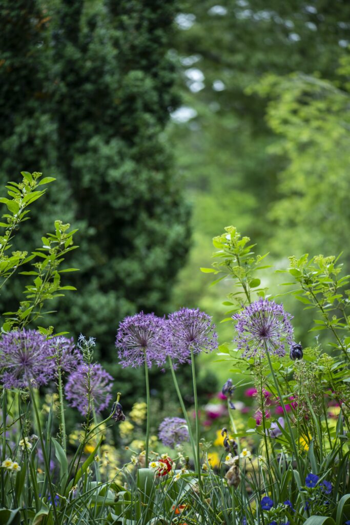 Exploring Shizen: The Naturalism Of Japanese Gardens