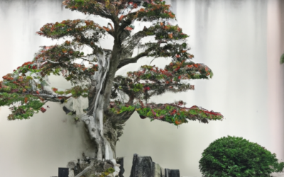 Integrating Miniature Trees Or Bonsai Into Larger Japanese Garden Settings