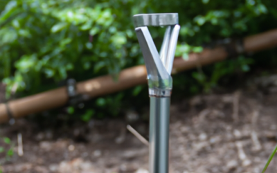 Kasoyo Japanese Manual Weeding Tool Review