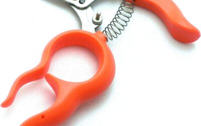 Saboten Hold-free Stainless Steel Harvest Scissors 1318S Review