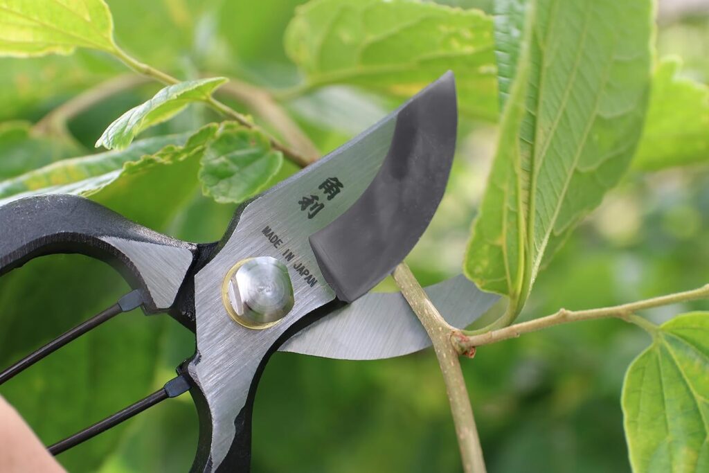 Amazon.com : KAKURI Japanese Pruning Shears for Gardening Heavy Duty 8 Inch, Made in JAPAN, Professional Garden Bypass Pruners with Leather Sheath, Hand Forged Japanese Carbon Steel, Black : Patio, Lawn  Garden