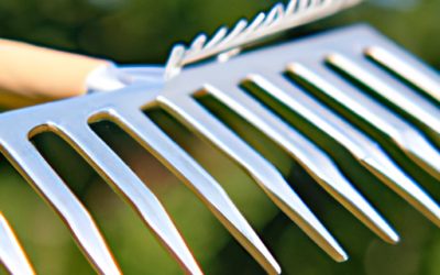 Anti-Rust Stainless Steel Shellfish Claw Rake Review