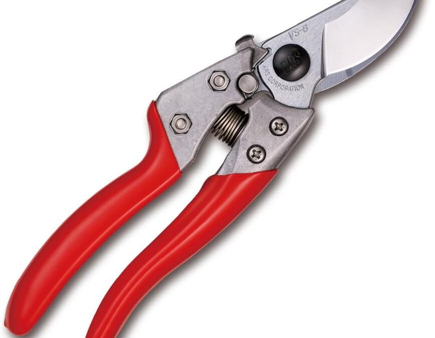 ARS ARS-VS-8XZ Hand Pruner Review