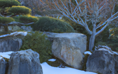 Frost’s Touch: Embracing Winter’s Beauty In Japanese Gardens