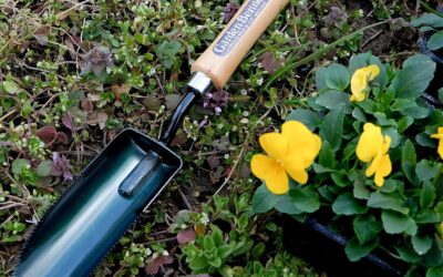 Japanese Garden Trowel Serrated Edge Review