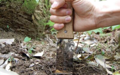 Nisaku NJP651 Hori Weeding Knife Review