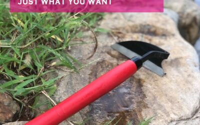 SHANFEEK Japanese Weeding Hoe Review