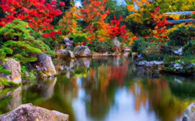 Revealing the Charm of the Largest Japanese Garden in Hasselt, Belgium