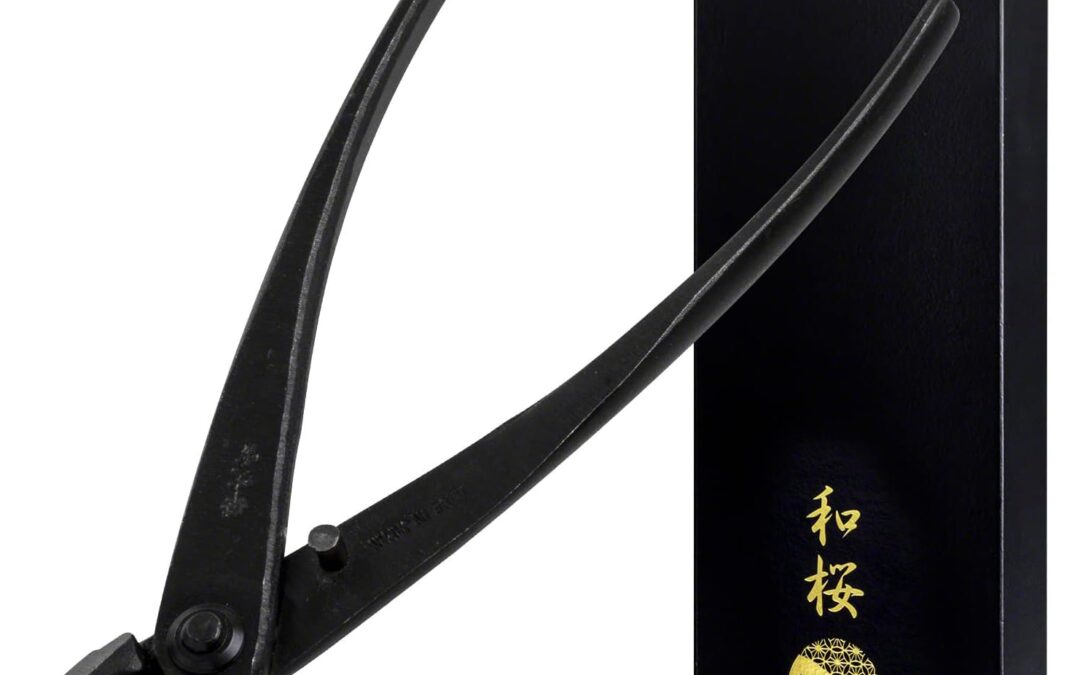 Wazakura Hand Forged Bonsai Cutter Review