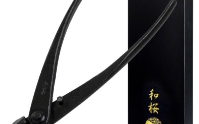 Wazakura Hand Forged Bonsai Cutter Review