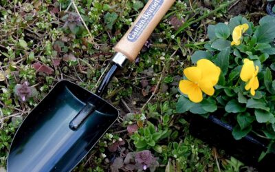 Japanese Garden Shovel Small Portable Hand Tool Review
