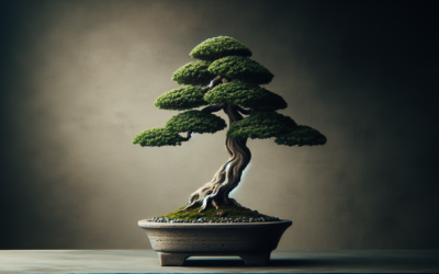 Bonsai in Small Spaces: Maximizing Your Miniature Garden