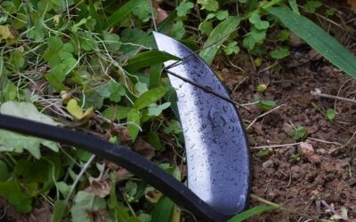 17″ Gardening Hand Weeder Review