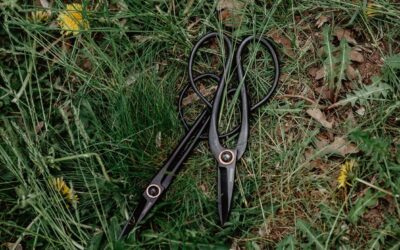 Barebones Artisan Plant Shears Review