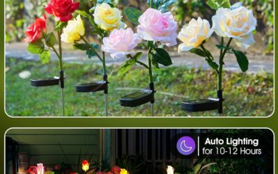 Brightown Outdoor Solar Garden Lights Review