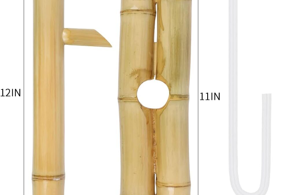 Foci Cozi Bamboo Water Fountain Without Pump Review