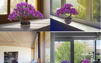 Fycooler Artificial Bonsai Juniper Tree Review