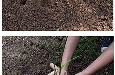 Gardtech Hand Dibber Review