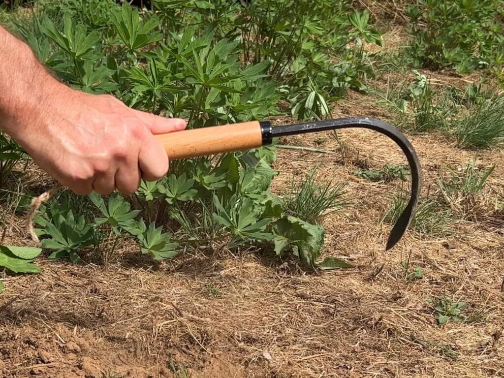 Grampas Garden Hook - Weed Puller Tool  Gardening Hand Cultivator - Versatile Tool That Functions as a Cultivator, Hand Tiller, Weeder,  Edging Tool - Lightweight  Durable to Use