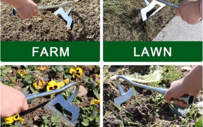 Greenby Garden Hoe Review