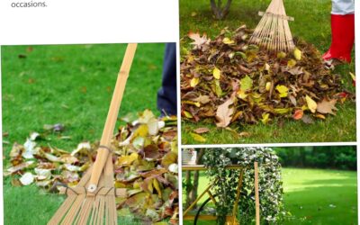 Hand Tools Japanese Mini Tools Review