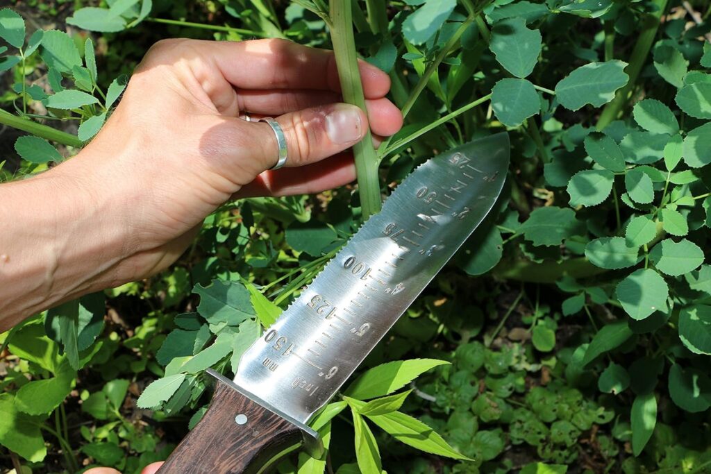 Hori Hori Knife, Premium Japanese Gardening Knife - Full Tang Garden Knives with Leather Sheath