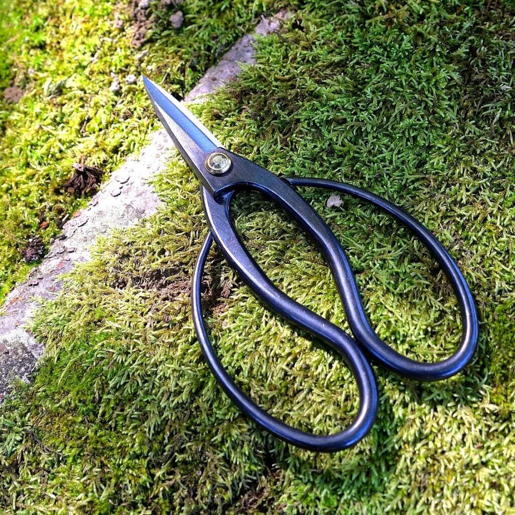 KAKURI Bonsai Trimming Scissors 6.8 (175 mm) Professional Bonsai Tool, Japanese Carbon Steel, Black, Made in JAPAN