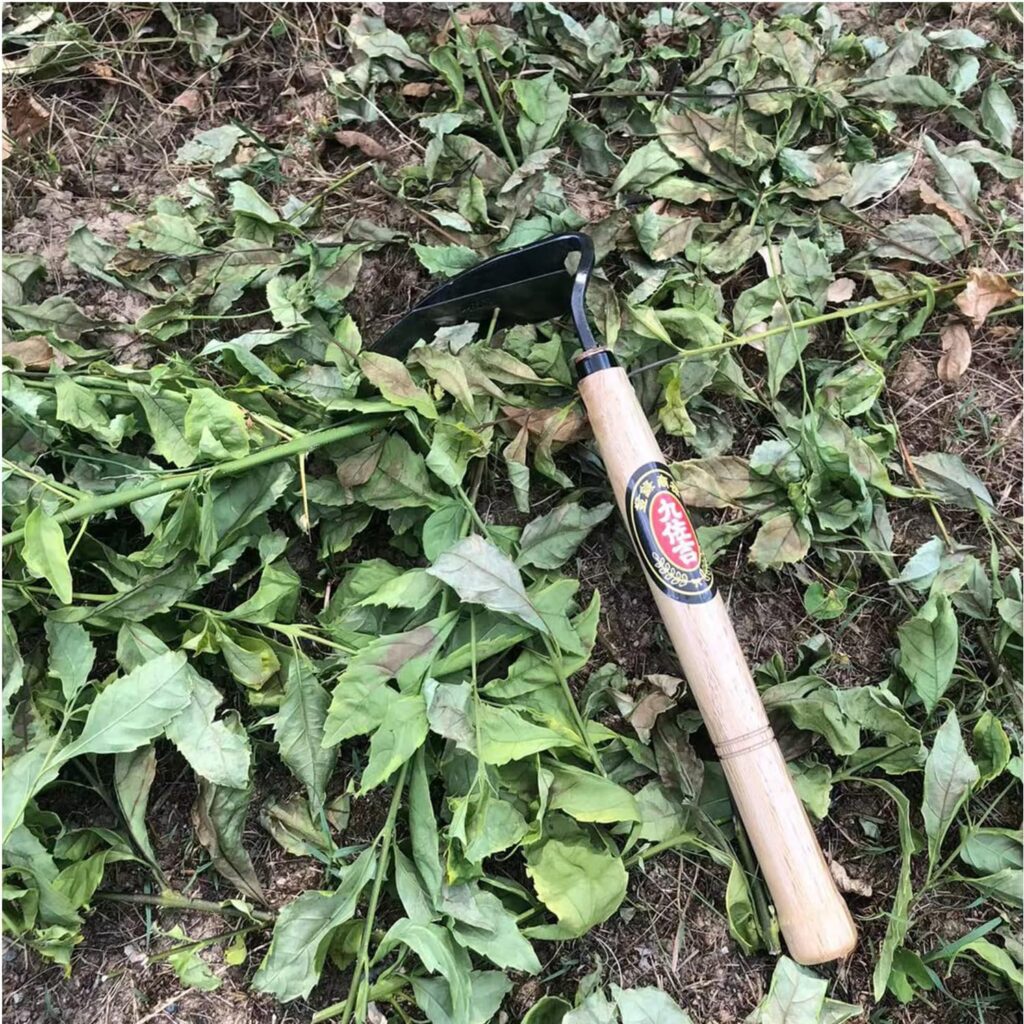 MerceHygea Japanese Ergonomic Scythe, Weeder, Weeding Sickle Very Sharp, Easy Weeding, Durable, Beige-001