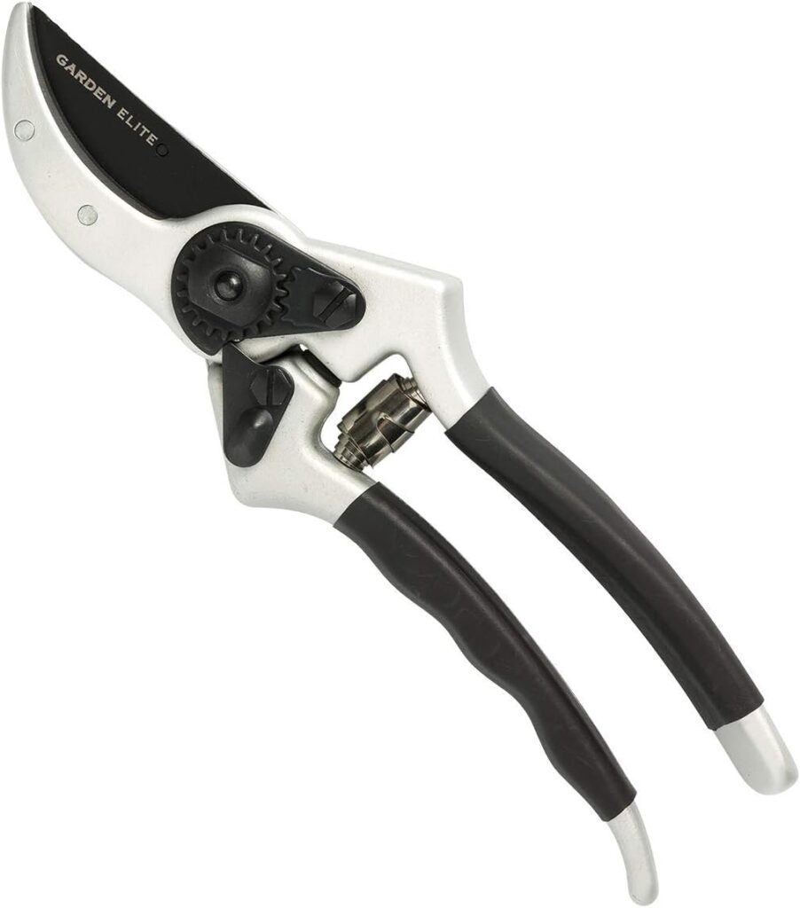 Razor Sharp Bypass Pruning Shears - Lifetime Replacement - Free Extra Blade, Spring  eBook - Japanese Steel - Premium Hand Pruners - Garden Shears - Garden Clippers - Secateurs with Ergonomic Handles