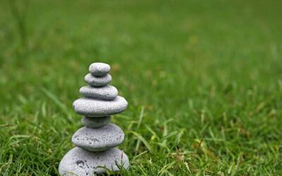 Sdeetesamjun Zen Stacking Stones Review