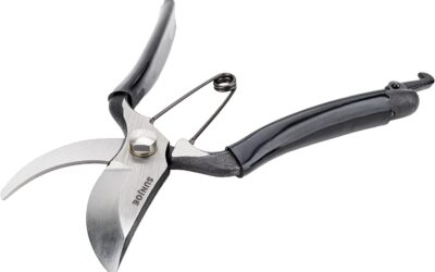 Senteibasami Carbon Steel Pruner Review