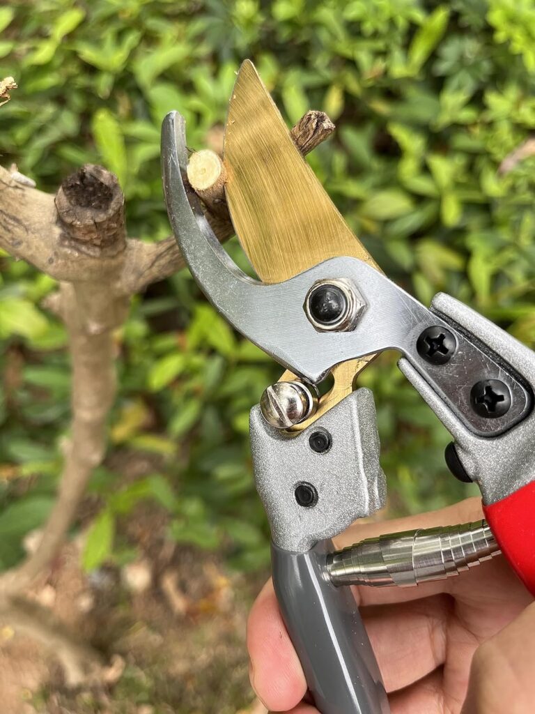 SVETTATO Garden Shears Made in Japan, Pruning Shears for Gardening Heavy Duty, Garden Scissors Clippers for Cutting rose, floral, tree, plants, bonsai